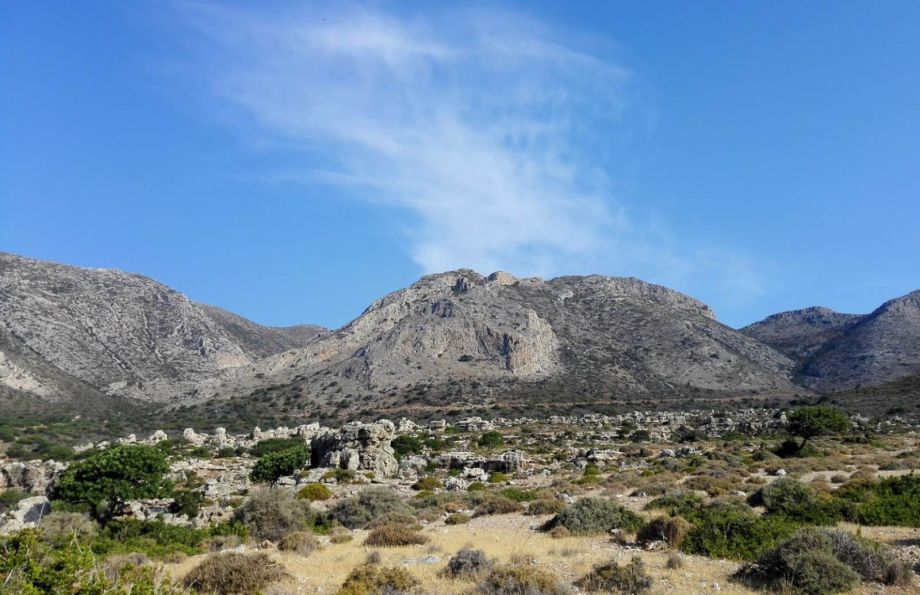 Gea Elaia Hotel Laconia