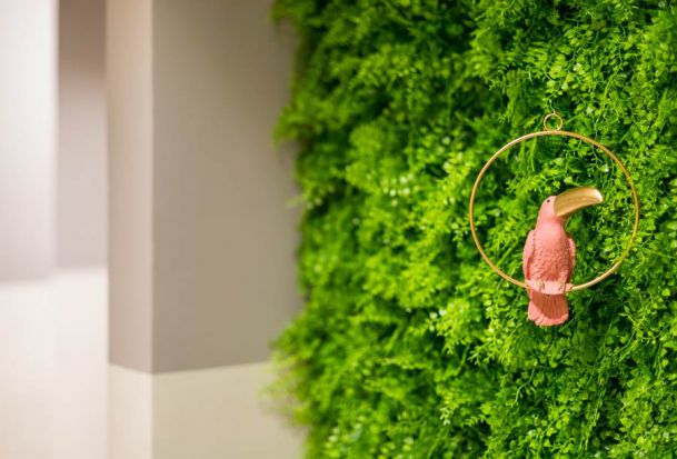 νεαπολη λακωνιασ διαμονη