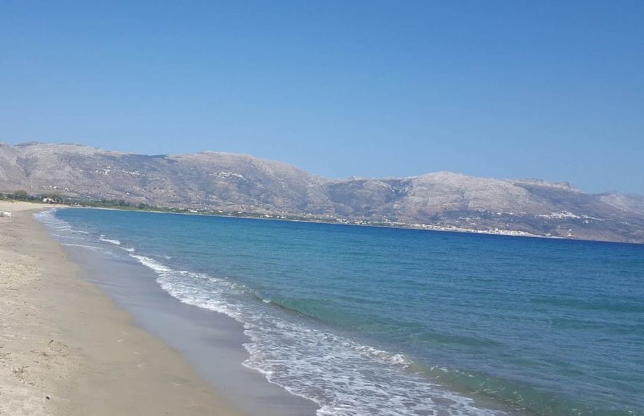 Gea Elaia Hotel Laconia